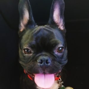 Profile photo of cristinamp