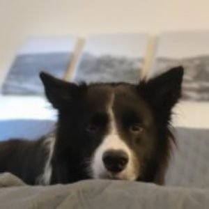 Profile photo of carlos